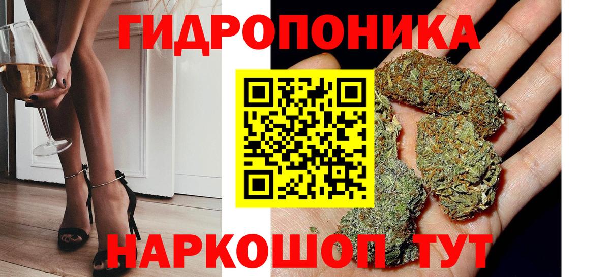 Конопля THC 21%  Вход с VPN  МАРИХУАНА семена  Артём  Канабис план 
